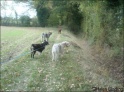 Walk20-10-09_33