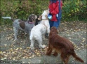 Walk20-10-09_4