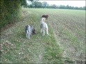 Walk20-10-09_8