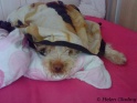 AvaBed11-06-10