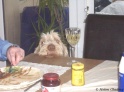 AvaDinner25-12-10