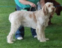 AvaEastofEng11-07-10