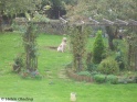 AvaHole19-10-10
