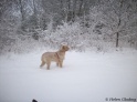 AvaPark19-12-10