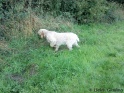 AvaPoint17-09-10
