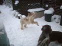 AvaPounce19-12-10