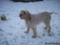AvaSnow06-01-10