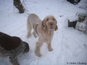 AvaSnow19-12-10