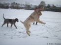 AvaSnowJump30-11-10