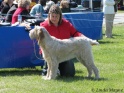 AvaWelks23-04-10
