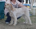 AvaWindsor04-07-10