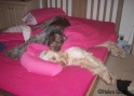 Bed30-01-10