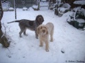 GorgeousGirls19-12-10