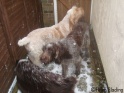 Walkies06-01-10