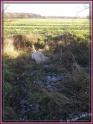 20121202_134140