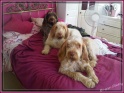 IMG01471-20120817-1624