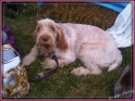 IMG01488-20120826-1225
