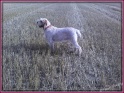 IMG01507-20120827-1653