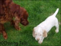AvaAndLayla07-04-07
