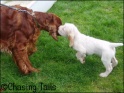 AvaAndLays07-04-07