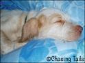 AvaAsleep20-04-07