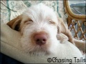 AvaAsleep21-05-07