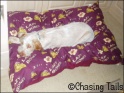 AvaBed09-07-07