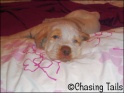 AvaBed14-04-07