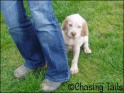 AvaBehindDeb07-04-07