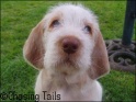 AvaBest11-04-07