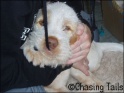 AvaEatingDeb23-04-07