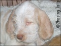 AvaFace07-04-07