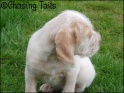 AvaHead07-04-07