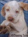 AvaLap10-04-07
