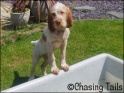 AvaPool22-05-07