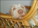 AvaRest19-07-07