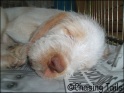 AvaSettled07-04-07