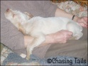 AvaSleepingOnMum07-04-07