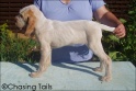 AvaStand10wks30-04-07_big