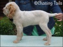 AvaStand9wks23-04-07