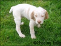 AvaStanding07-04-07