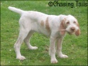 AvaStick07-06-07