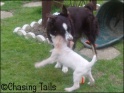 AvaTiaPlaying09-04-07