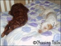 LaylaAvaOnBed17-05-07