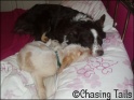 TiaAvaBedSleep14-04-07