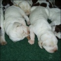 WOGirls28-02-07