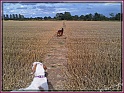IMG01511-20120827-1656edit