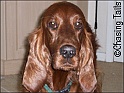 Layla01-08-07