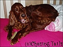 LaylaChew04-06-06