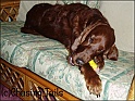 LaylaEatingGift25-12-06